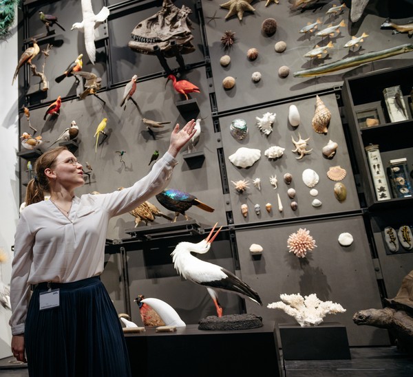 Eine Frau zeigt auf eine Wand mit zahlreichen präparierten Vögeln und Muscheln in einem Museumsausstellungsraum.