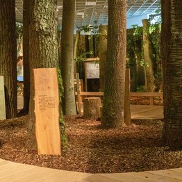 Eingang zur Sonderausstellung "Alleskönner Wald" im LWL-Museum für Naturkunde, Münster (vom 25.06.2021 bis 11.06.2023).