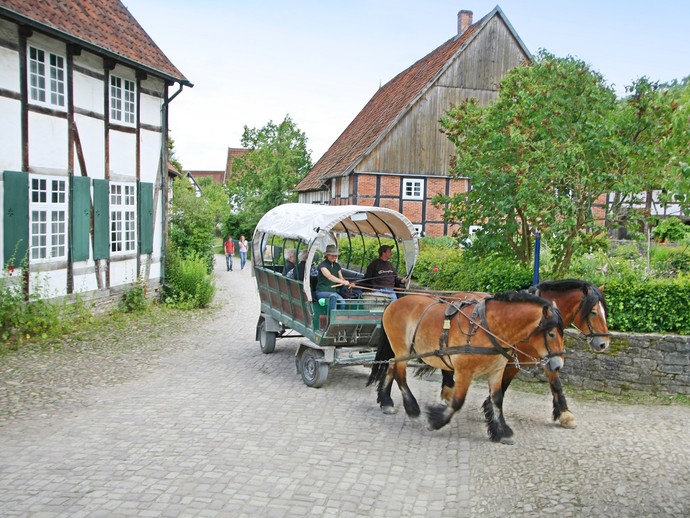 Pferdewagen im LWL-Freilichtmuseum Detmold Pferdewagen im LWL-Freilichtmuseum Detmold