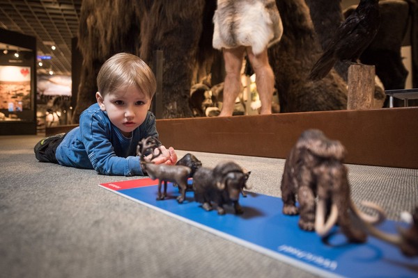 Junge liegt auf dem Boden und betrachtet Miniatur-Ausstellungsstücke