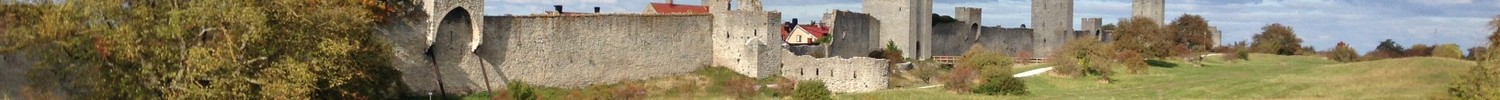 Stadtmauer von Visby/Gotland.Im Vordergrund eine grüne Wiese mit einigen Sträuchern.