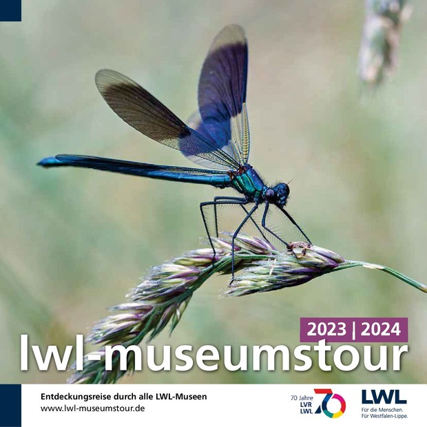 Titelbild der LWL-Museumstour 2023/2024: Eine gebänderte Prachtlibelle sitzt auf einem Wildgrashalm in einer Wiese.