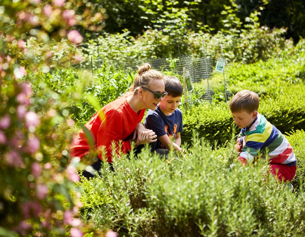 Eine Frau und zwei Kinder schauen sich kniend in einem Garten Pflanzen an