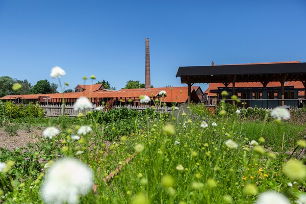 Blick über eine Wiese mit weißen Blüten auf ein langgestrecktes Backsteingebäude mit Schornstein und rotem Ziegeldach unter blauem Himmel